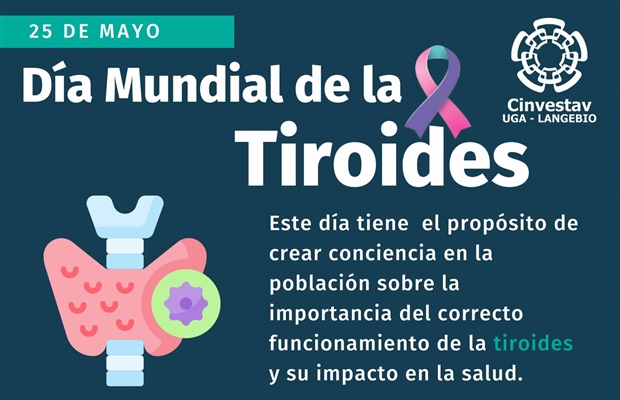 En el Día Mundial del Cáncer de Tiroides, alzamos la voz para concienciar,  informar y apoyar a quienes enfrentan esta batalla. La lucha…